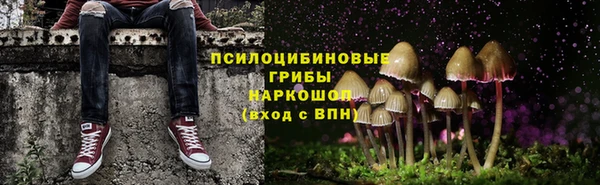 ПСИЛОЦИБИНОВЫЕ ГРИБЫ Аркадак