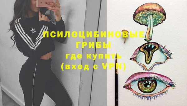 ПСИЛОЦИБИНОВЫЕ ГРИБЫ Аркадак
