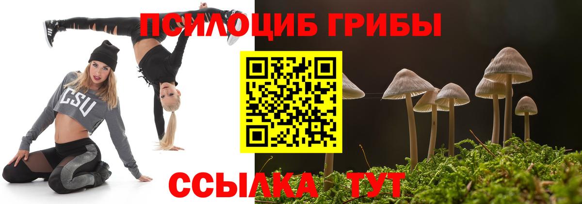 Галлюциногенные грибы MAGIC MUSHROOMS  Вход с VPN  Когалым 