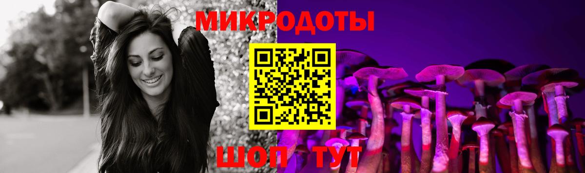 Галлюциногенные грибы Psilocybine cubensis Когалым
