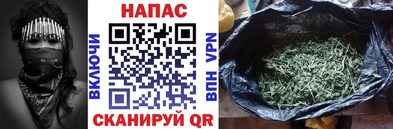 Бошки Шишки OG Kush  Когалым 