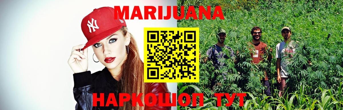 Когалым  Бошки марихуана сатива  Конопля план  Канабис марихуана  Каннабис индика  Вход с VPN 
